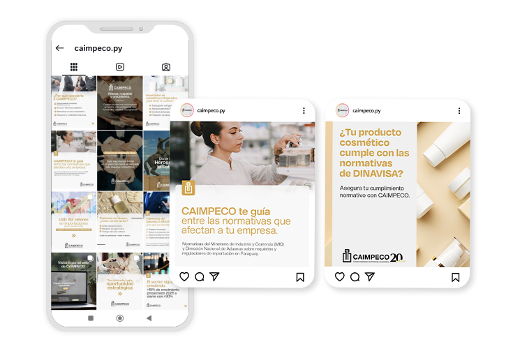 redes-caimpeco